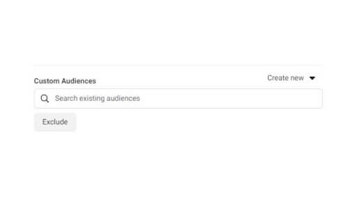 Exclude Custom Audience 