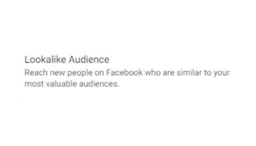 Use Look-Alike Audience 